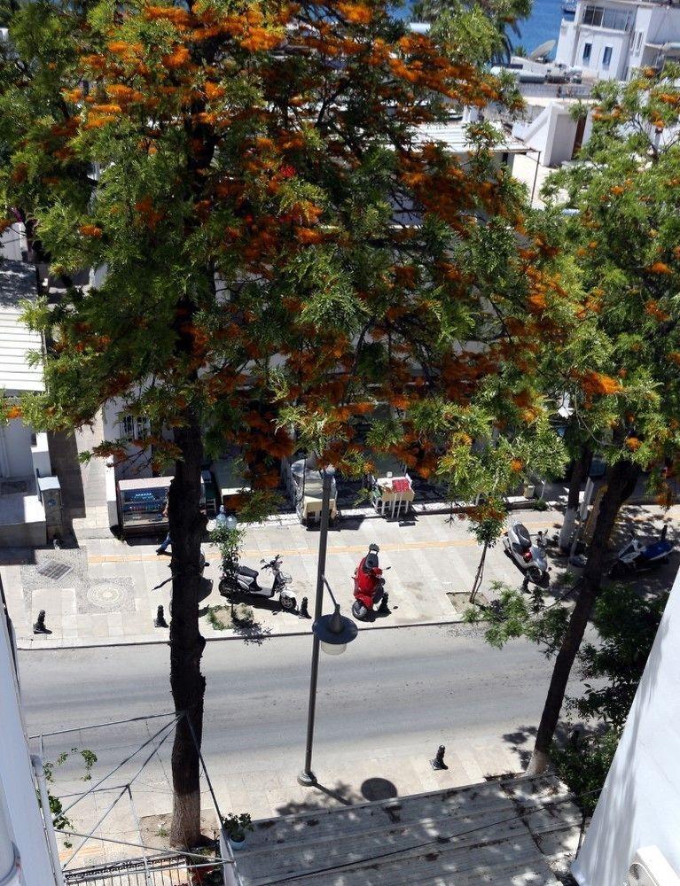 Pansiyon Agan